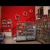 Basement innen