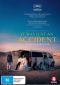 DVD: IT WAS JUST AN ACCIDENT (2025)